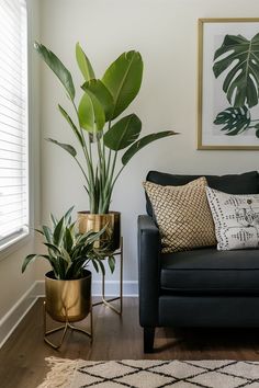 a living room filled with furniture and plants