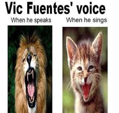 two pictures of cats and lions with caption that reads, vicc funtees'voice when he speaks when he sings