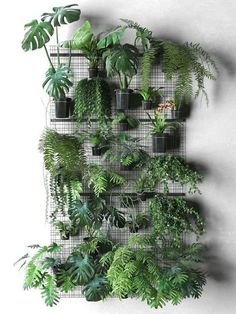 a wall mounted planter filled with lots of green plants