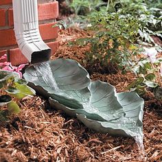 a large green leaf laying on top of mulch next to a red brick building