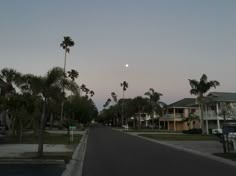 palm trees line the street in front of houses at dusk with a full moon behind them