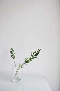 two clear vases with green plants in them on a white tableclothed surface