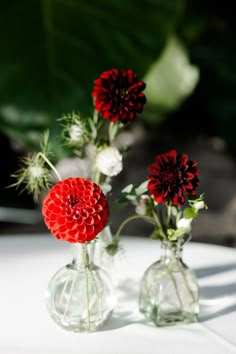 Bud vases featuring red dahlias, gomphrena, and nigella Crimson Wedding, Red Flower Arrangements, Christmas Wedding Centerpieces, Bud Vases Arrangements, Burgundy Wedding Centerpieces, Red Centerpieces, Wedding Flower Packages