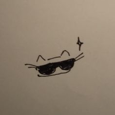 a drawing of a cat with sunglasses on it's face and a bird flying in the background