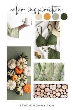 the color inspiration board for autumn with pumpkins, gourds and other items