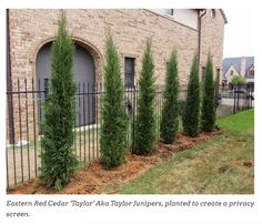 a row of trees in front of a brick building with an iron fence around it