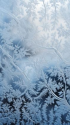 frosted window with branches on it