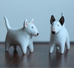 two small white dogs standing next to each other