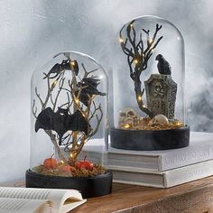 two glass domes filled with halloween decorations on top of a wooden table next to an open book