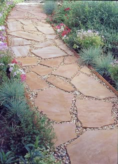 a stone path surrounded by flowers and plants