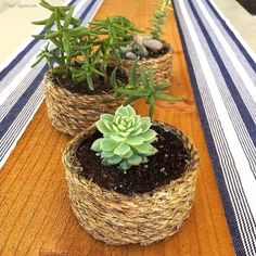 three baskets with plants in them sitting on a table