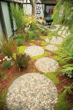 a garden with rocks and plants around it