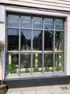 a store front with plants in the window