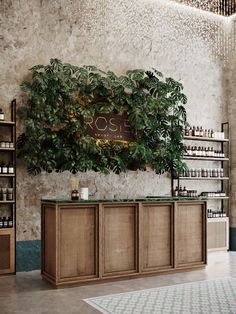 the inside of a store with plants and bottles on display in front of it's counter