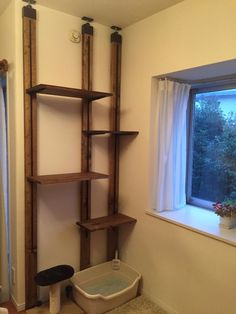 a bathroom with a window and shelves in it