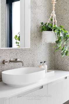 a white sink sitting under a mirror next to a wall mounted potted green plant