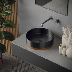 a bathroom sink sitting on top of a counter next to a potted plant and vase