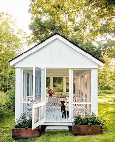 a small white house with a dog in the front door and flowers on the porch