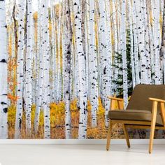 a chair sitting in front of a wall with white birch trees painted on it's sides