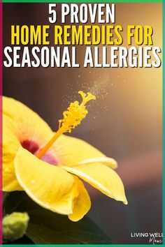 Home Remedies for Bee Stingshttps://animalpestcontrols.com/14-effective-home-remedies-for-bee-stings/If you get stung by a bee, don't panic! There are plenty... Best Cough Remedy, Breastfeeding Diet, Cold Sores Remedies, Watery Eyes, Natural Cold Remedies, Seasonal Allergies, Natural Cough Remedies