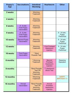 the timetable for women's health and fitness activities