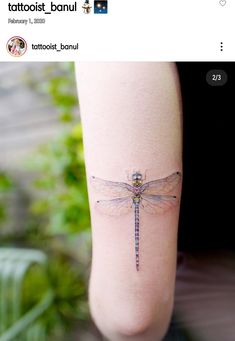 a woman's leg with a tattoo that has a dragonfly on the side