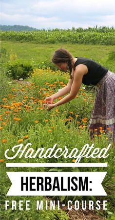 a woman picking flowers in a field with text overlay that reads handcrafted ferdaism mini - course