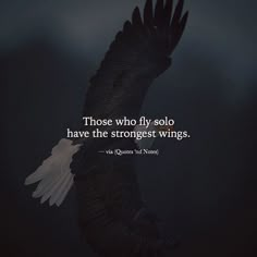 an eagle flying through the air with a quote on it that says those who fly solo have