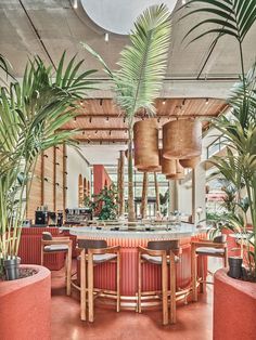 an indoor restaurant with palm trees and potted plants