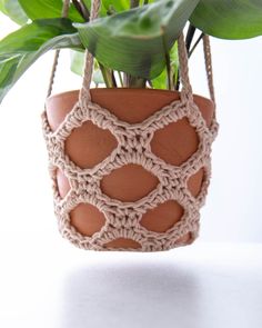 a potted plant hanging from a rope