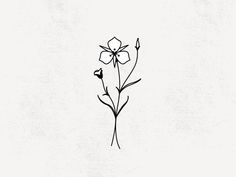 a black and white drawing of a flower