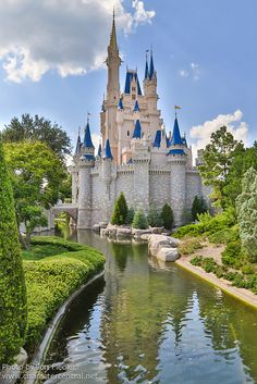 the castle is surrounded by water and trees