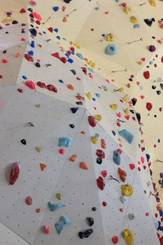 there are many different colored rocks on the wall and in the background is a climbing wall