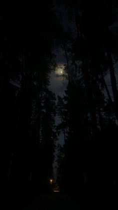 the full moon shines brightly in the dark night sky behind some tall pine trees