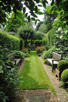 there are benches in the middle of this garden