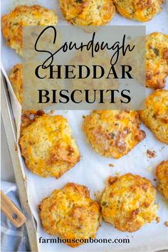 several cheddar biscuits on a baking sheet with text overlay that reads sunday cheddar biscuits