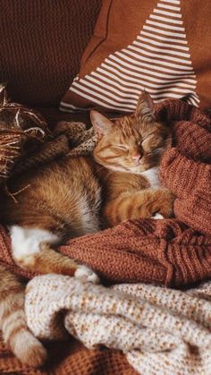 an orange and white cat sleeping on top of a couch next to a pile of blankets