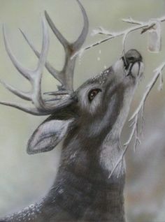 a painting of a deer with antlers on it's head