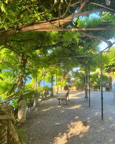 a park bench sitting under a tree covered pergoline next to a body of water