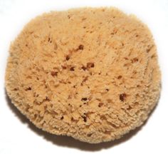 12inch Honeycomb Sponge perfect for car washing! Car Washing, Get It Now, Car Wash, Honeycomb, Get It, The Uk