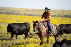 These Specialist Hats are our house brand and we put a lot of effort into making sure they are a great quality for our customers Black Felt Hat, Black Felt, Felt Hat, Our House, Cowboy Hats, Cowboy, Felt, Hats, Quick Saves