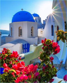 the sun shines brightly over some white buildings with blue domes and flowers in front of them