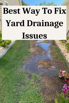 Best Way To Fix Yard Drainage Issues Drainage Solutions Landscaping, Yard Drain, Underground Drainage, Landscape Design Ideas, Sloped Backyard, Drainage Solutions