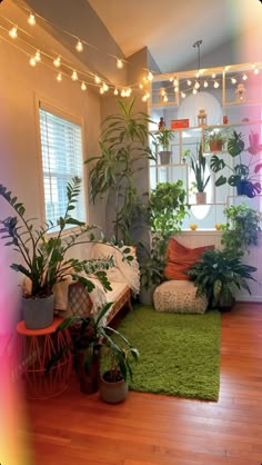 a living room filled with lots of plants and lights hanging from the ceiling above it