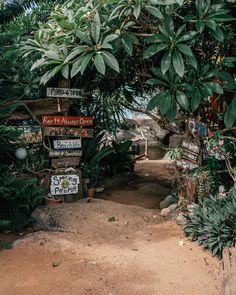 there are many signs on the side of this path in the jungle, and one is for sale