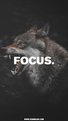 Focus - Motivational iPhone Wallpaper 4K Motivational Iphone Wallpaper, Wallpaper Mobil, Focus Wallpaper, 4k Iphone Wallpaper, Motivational Wallpaper Iphone, Lone Wolf Quotes, Work In Silence, Transformation Quotes, Fitness Wallpaper