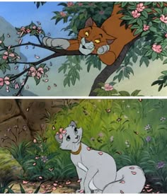 two pictures of the same cat and dog in different scenes, one is sitting on a tree