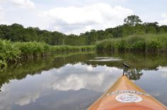 an orange kayak in the middle of a river with trees and bushes around it