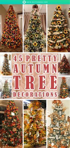 a bunch of different types of trees with the words pretty autumn tree decorations on them