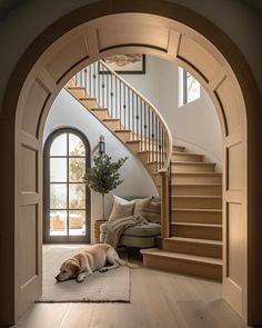 a dog laying on the floor in front of a stair case next to a couch